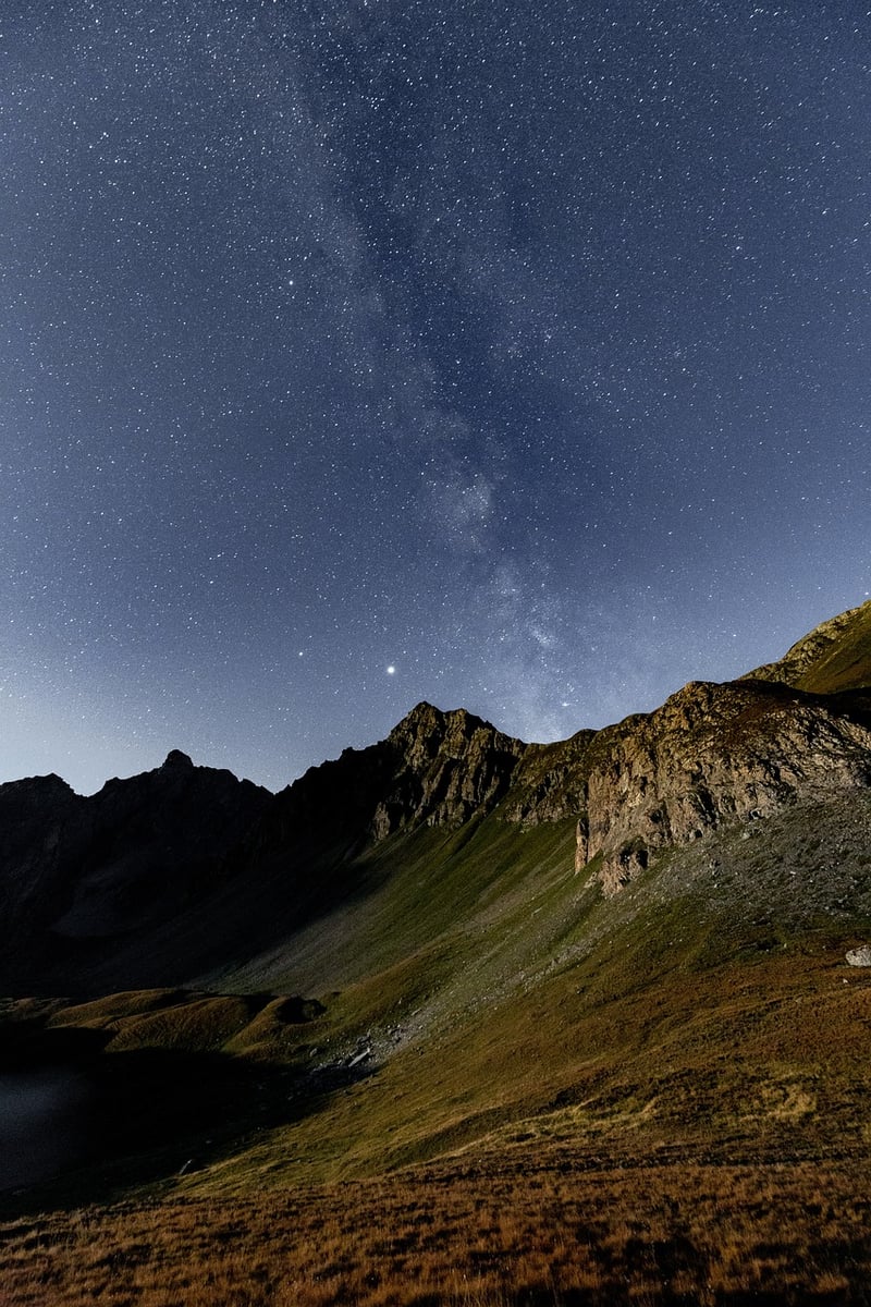 Starry Gatherings