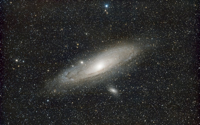 Starry Gathering